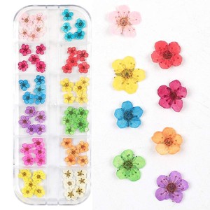 Coffret de fleurs séchées 3D stéréo pour la décoration des ongles, <span class=keywords><strong>gel</strong></span> UV, pétales de plantes réelles, accessoires pour ongles - Product Image 2