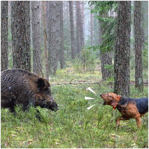 <span class=keywords><strong>Garmin</strong></span> <span class=keywords><strong>GPS</strong></span> Pet Tracker para gato y perro Localizador <span class=keywords><strong>Gps</strong></span> Dog con Metal <span class=keywords><strong>Gps</strong></span> Navigator Antena Receptor GPRS Modo de posicionamiento - Product Image 4