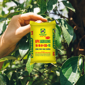 ปุ๋ยน้ำพรีเมียม NPK ARILONG สูตร 16-16-8+13S+TE ออกฤทธิ์เร็ว สูตรเข้มข้น ช่วยเร่งการออกดอก ให้ผลผลิตที่มั่นคง รับผลิตแบบ OEM - Product Image 5