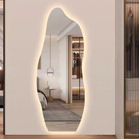 Espejo Inteligente Retroiluminado con Interruptor Táctil, de Tamaño Grande Irregular y Personalizado por el Fabricante, para Entrada