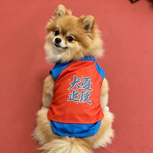 Capa de Superman para Mascotas, Diseño Moderno, Sudadera para Perros y <span class=keywords><strong>Gatos</strong></span> - Product Image 3