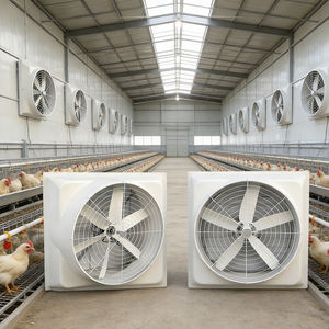 ขายตรงจากโรงงาน <span class=keywords><strong>พัดลม</strong></span><span class=keywords><strong>ดูด</strong></span><span class=keywords><strong>อากาศ</strong></span>ไฟเบอร์กลาสสำหรับโรงเรือนเลี้ยงสัตว์ปีก - Product Image 3