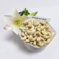 Vietnamese biologische rauwe cashewnoten van hoge kwaliteit W320 W240 LP voor export groothandel