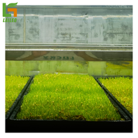 Conteneur de ferme conteneur d'expédition agricole 20 '/40' pieds pour Microgreen/laitue/herbage