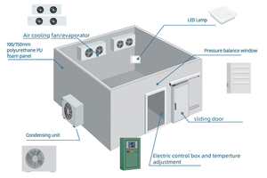 Celle Frigorifere e Celle Frigorifere Industriali con Sistema di Raffreddamento Efficiente - Product Image 6