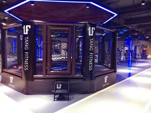 Cages <span class=keywords><strong>UFC</strong></span> internationales à <span class=keywords><strong>prix</strong></span> bon marché d'usine de la <span class=keywords><strong>cage</strong></span> octogonale à grappin mma - Product Image 5