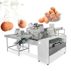 Dây chuyền sản xuất trứng tươi đa bước với đảm bảo chất lượng cho thị trường nông thôn - Product Image 3