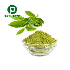 Capsules d'extrait de thé vert aux herbes pur, 50% — 98%, vente en gros, usine