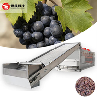 Séchoir à bande pour fruits et légumes, machine de séchage de raisins, séchoir à fruits