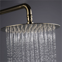 Douche de plafond en acier inoxydable 304 avec surface miroir, sortie unique, facile à nettoyer, système de flux d'eau à haute efficacité pour salle de bain