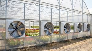 Ventilador de Extracción Industrial con Rodamientos de Bolas, Diseño de Bajo Ruido, Flujo Axial, Diámetro de Aspas de 48'', 26000 CFM, para Ventilación de Almacenes - Product Image 4