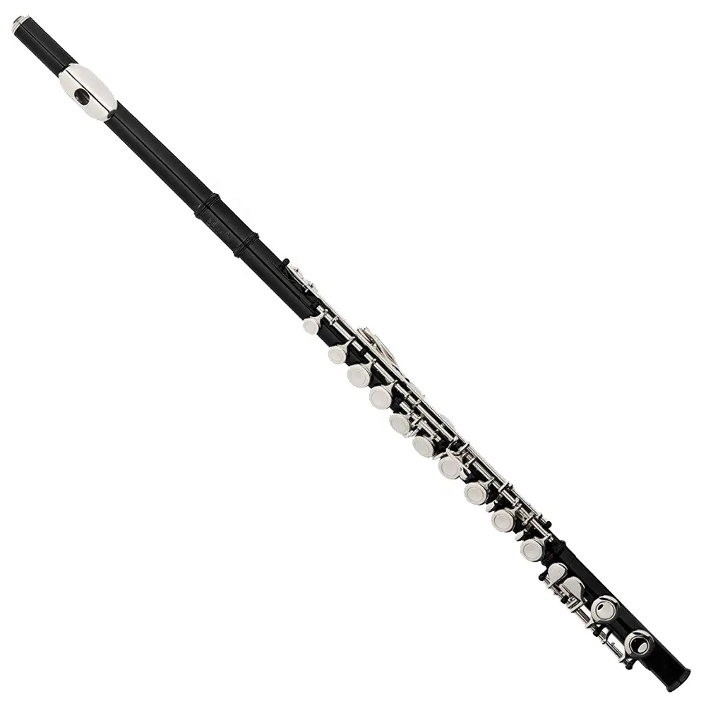 Factory Direct Accept Oem Cheap 16 Holes C Black Flute for students