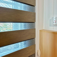 Persianas Zebra Motorizadas Compatibles con Smart Home, Cortinas Enrollables Opacas para Ventanas con Tapas Finales, Instalación Integrada, Técnica Sencilla