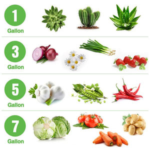 Sacs de culture de plantation et <span class=keywords><strong>d</strong></span>'horticulture de jardin botanique pour plantes en feutre/pots en tissu de 10gal/sacs de culture de 15 gallons - Product Image 5