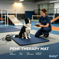 Equine PEMF Loop System PEMF Loop for Equine Performance Portable Horse PEMF System For Racehorse Wellness
