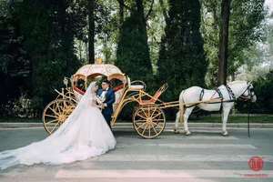 Buggy <span class=keywords><strong>de</strong></span> la Cenicienta <span class=keywords><strong>de</strong></span> la <span class=keywords><strong>Princesa</strong></span> Real, coche <span class=keywords><strong>de</strong></span> caballo <span class=keywords><strong>de</strong></span> la Cenicienta, <span class=keywords><strong>de</strong></span> boda, color blanco - Product Image 3