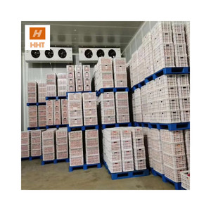 HHTP0001 <span class=keywords><strong>verdad</strong></span> caminar en refrigerador congelador contenedor utilizado congelador - Product Image 4