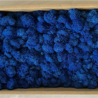 Couronne de mousse stabilisée multicolore, magnifique décoration murale florale pour la maison, les fêtes et Noël, thème artistique, faite à la main, 100% naturelle