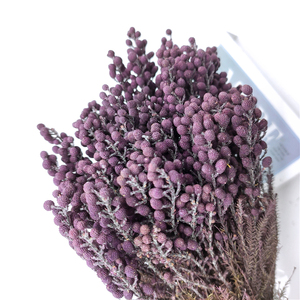 Decorazioni per la casa <span class=keywords><strong>di</strong></span> lusso naturale fagioli <span class=keywords><strong>di</strong></span> <span class=keywords><strong>pepe</strong></span> secchi fiori conservati decorazione <span class=keywords><strong>di</strong></span> nozze - Product Image 1