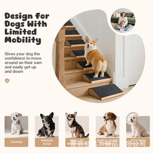 ทางลาดไม้กันลื่นสำหรับสุนัขขนาดเล็ก บันไดปีนสำหรับสัตว์เลี้ยง มุมต่ำ - Product Image 5