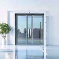 Fenêtre coulissante en aluminium résistante aux intempéries avec système de drainage dissimulé et joint à brosse, fenêtre toutes saisons pour les zones côtières