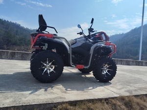 <span class=keywords><strong>Cuatrimoto</strong></span> Eléctrica MY-350 125cc 1000cc para Adultos - Spyder Arctic Leopard Pit Bike Buggy Equipo Comercial - Product Image 5