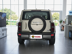 ซาฮาร่า-พิสูจน์ว่า Haval Menglong เอาชนะผู้พิทักษ์แลนด์โรเวอร์ในเนินทรายทะเลทรายได้อย่างไร - Product Image 6