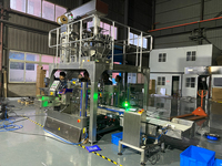 Doypack automatique à haute efficacité tiennent la machine d'emballage de sachet en plastique de dattes de palme alimentaire de poche