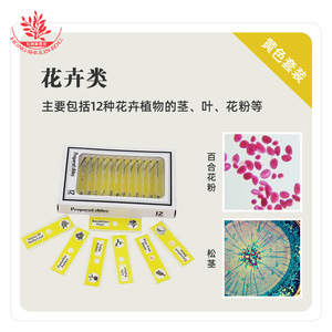 Portaobjetos de plástico para microscopio, 12 portaobjetos/caja, material delgado, alta transmisión de luz, células transparentes, no rayan las manos. - Product Image 3