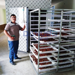 Equipo de Secado de Frutas de Alta Eficiencia, Máquina de Secado de Manzanas, Albaricoques, Melocotones y Ciruelas, Horno de Secado de Frutas - Product Image 4