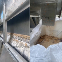 Secador al Vacío de Tambor Único Longtai de Alta Precisión, Capacidad de 1500 kg, Deshidratación Continua de Lodos de Arcilla y Polvo Cerámico, Procesamiento de Alimentos