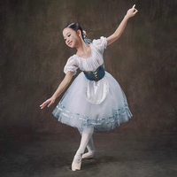 Robe de ballet professionnelle pour filles, costume de spectacle, jupe longue en gaze rouge, jupe moelleuse en polyester pour compétition