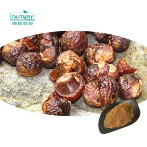 Faitury <span class=keywords><strong>Wholesale</strong></span>バルクソープナットエキスサポニン40% ソープナットエキス - Product Image 1