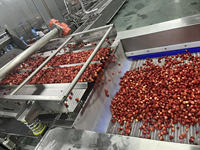 Automatische machines voor de verwerking van diepvriesfruit en -groenten voor fruitverwerkingsbedrijven - machine voor het snijden en raspen van wortelen, aardappelen en mango's