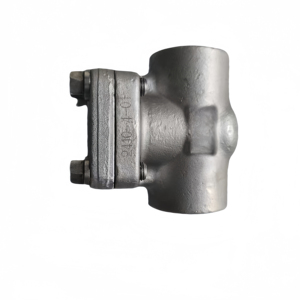 API1602 Forged Stainless Steel Manual <strong>Check</strong> <strong>Valve</strong> for Gas Oil Water Supply - Product Image 1
