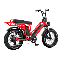 Vélo électrique de chasse 48V, 750W, 20 pouces, pneus larges