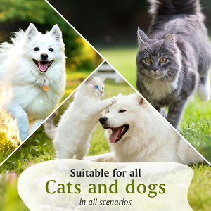 Barra de Cuidado para Patas de Mascotas, Tapete Portátil Sólido para Perros y Gatos, Cuidado de las Plantas de los Pies, Cuidado de las Cutículas, Barra <span class=keywords><strong>Hidratante</strong></span> - Product Image 3