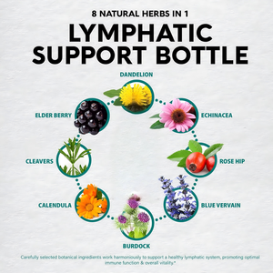 Soutien Lymphatique Biologique – Fabricant Direct OEM/ODM – Personnalisation Marque Privée – Gouttes Liquides de Soutien Immunitaire - Product Image 3