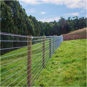 Valla de alambre de hierro para granja, poste de alta calidad al mejor precio - Product Image 4