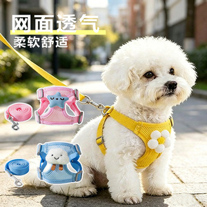 Small dog leash, small dog <b>harness</b>, Teddy, Bichon Frise, Pomeranian puppy <b>harness</b>, cat pet dog leash, dog walking rope - Product Image 1