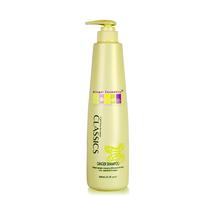 OEM personnalisé hommes shampooing Offre Spéciale cheveux produit 300ml Anti perte de cheveux shampooing (shampooing chaud)