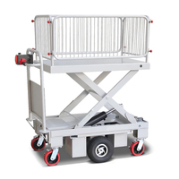 Chariot à main en acier blanc avec quatre roues, chariot à plateforme mobile industriel