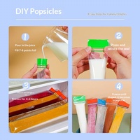 Sachets jetables en PE refermables avec fermeture éclair pour la fabrication maison de gelées, laits, glaces pilées et bâtonnets glacés, étanches et à double étanchéité