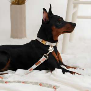 M Fashion Design Luxury Style <b>Dog</b> <b>Collar</b> Comfortable Soft Cotton Elegant Print Pattern Durable Modern Features OEM ODM Wholesale - Product Image 4