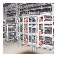 Cages à oiseaux et animaux de grande taille en acier galvanisé à chaud de haute qualité