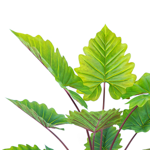 Jardín Decoración del hogar 150 cm Plástico Arco Iris Taro Simulación artificial Verdor Alocasia Plantas en maceta - Product Image 3