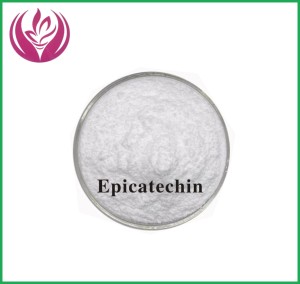 Top qualité cosmétique Grade EC 95% L-épicatéchine poudre blanche Haoze extrait de thé vert épicatéchine CAS490-46-0 - Product Image 4