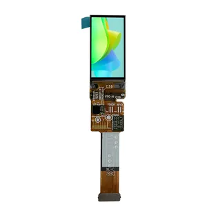 Fabriek Groothandel 0.95 Inch 120*240 Micro Display Amoled Lcd-Scherm Spi Lcd Module