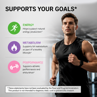 Complément Liquide OEM de L-Carnitine, Acétyl L-Carnitine Tartrate, Formes Pré-Entraînement, Énergie et Soutien Musculaire, Saveur Gommeuse Aigre Goût Ver