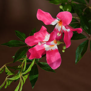 Plantes artificielles en plastique écologique, <span class=keywords><strong>jasmin</strong></span> pleureur, couleur verte, en <span class=keywords><strong>pot</strong></span>, grande plante, décoration d'intérieur, Noël, remise de diplôme - Product Image 5